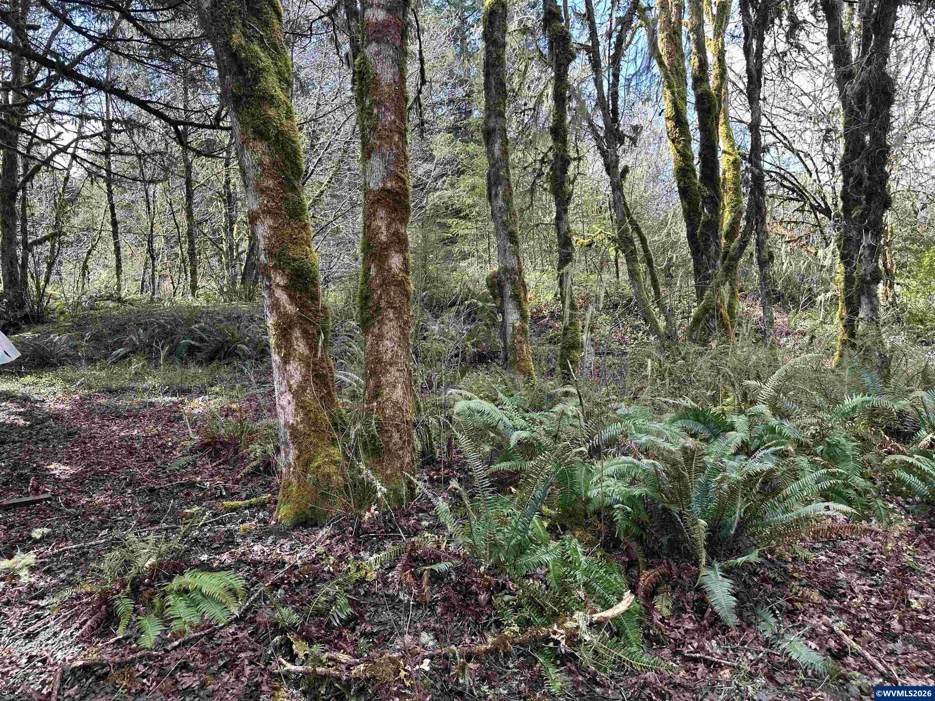 26622 Fudge Rd, Alsea, OR, 97324