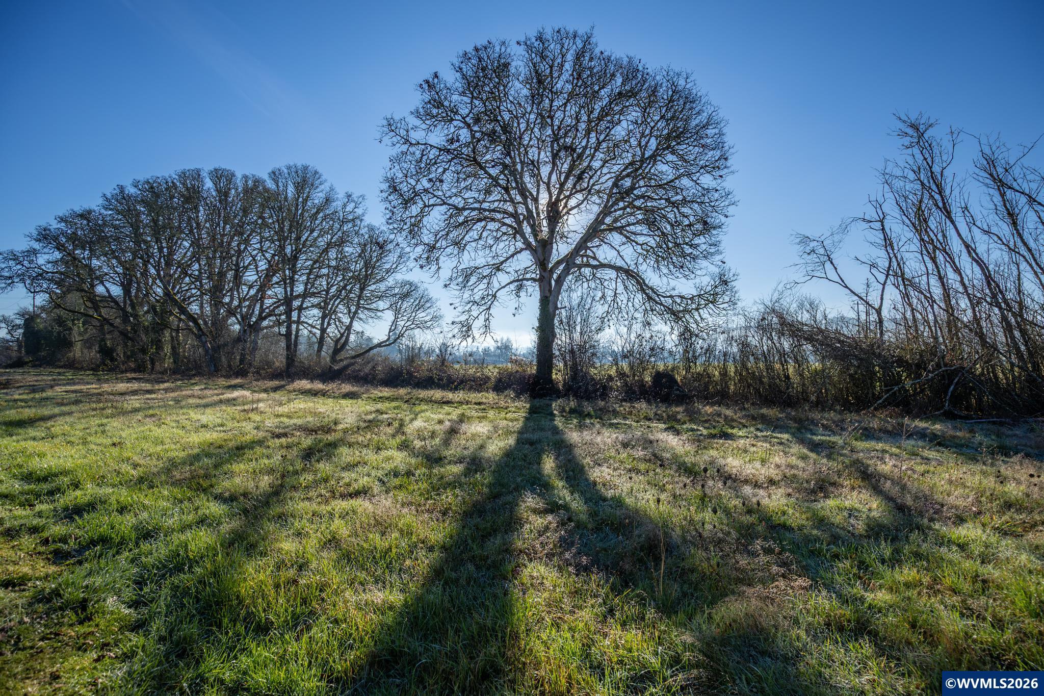 238 W Jadon Dr, Lebanon, OR, 97355