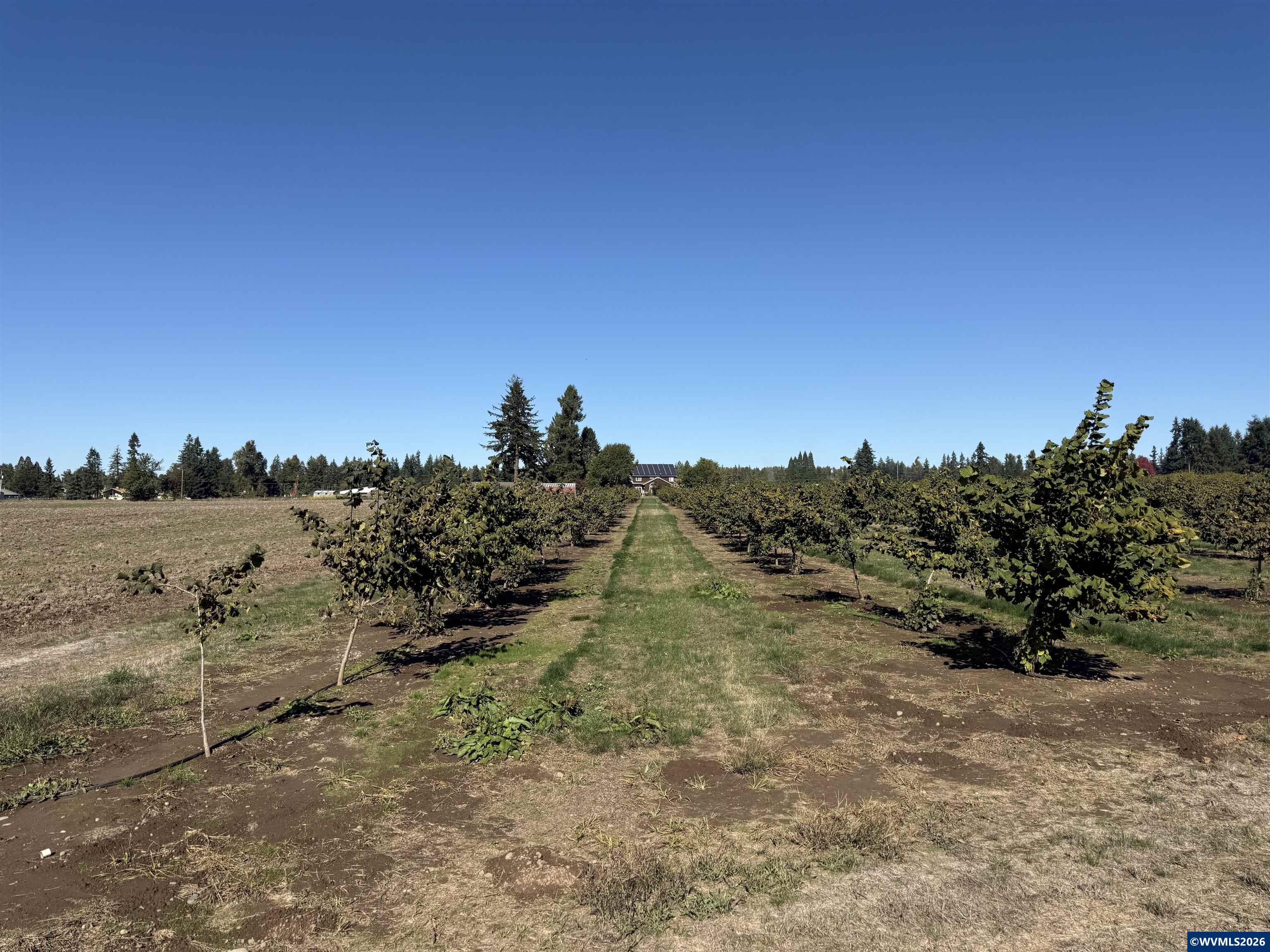 41792 SE Kingston Jordan Rd, Stayton, OR, 97383