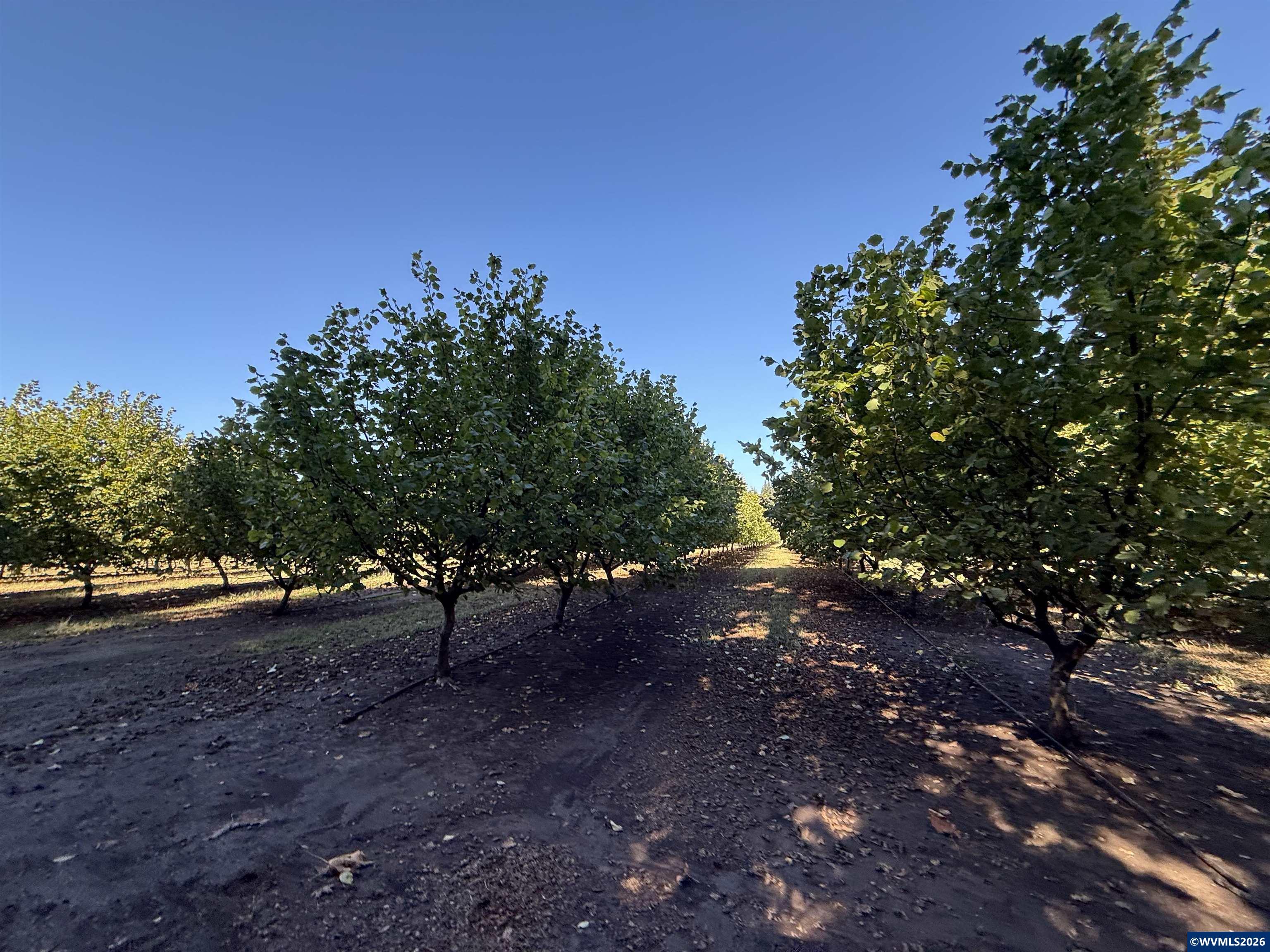 41792 SE Kingston Jordan Rd, Stayton, OR, 97383