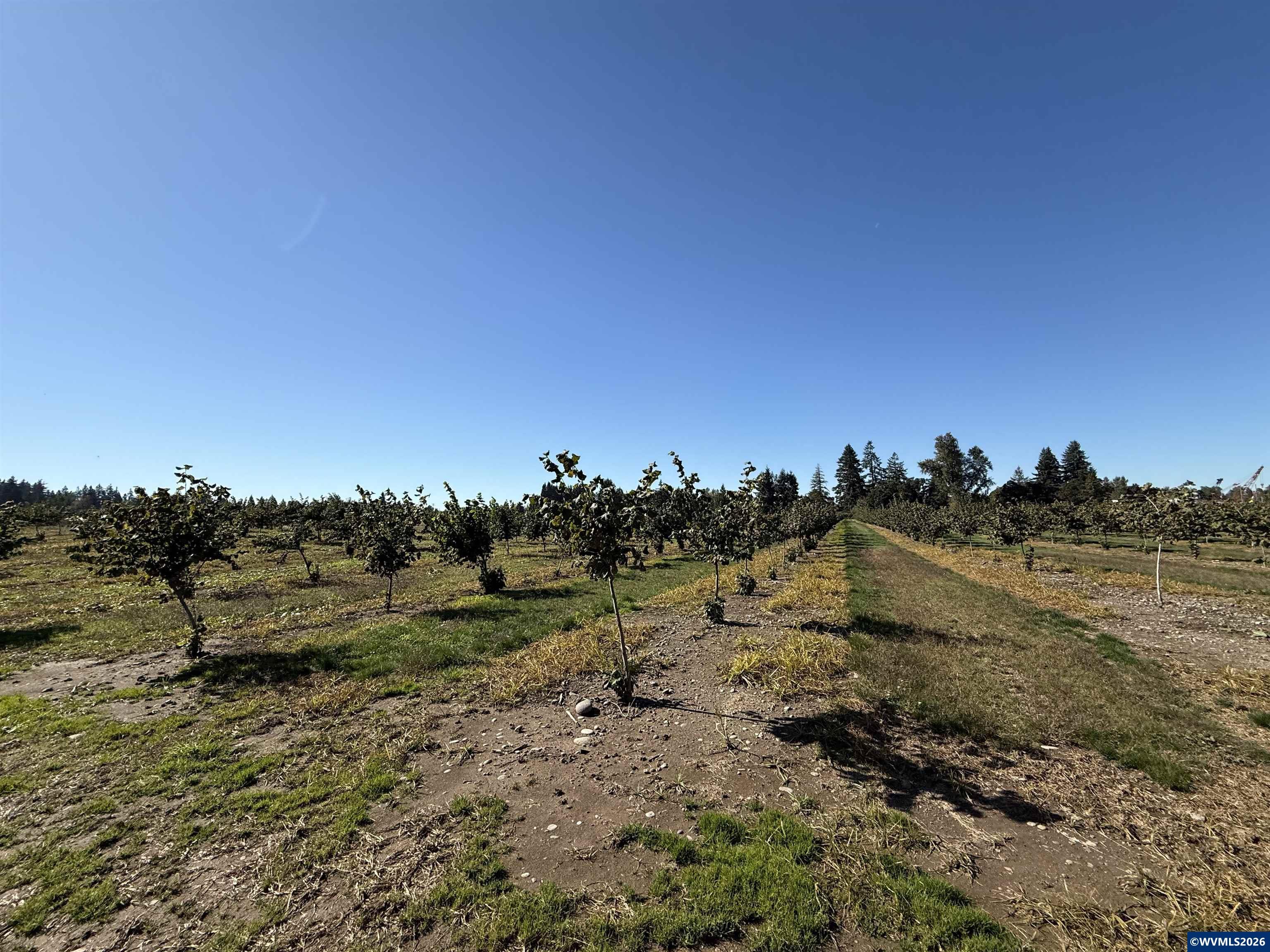 41792 SE Kingston Jordan Rd, Stayton, OR, 97383