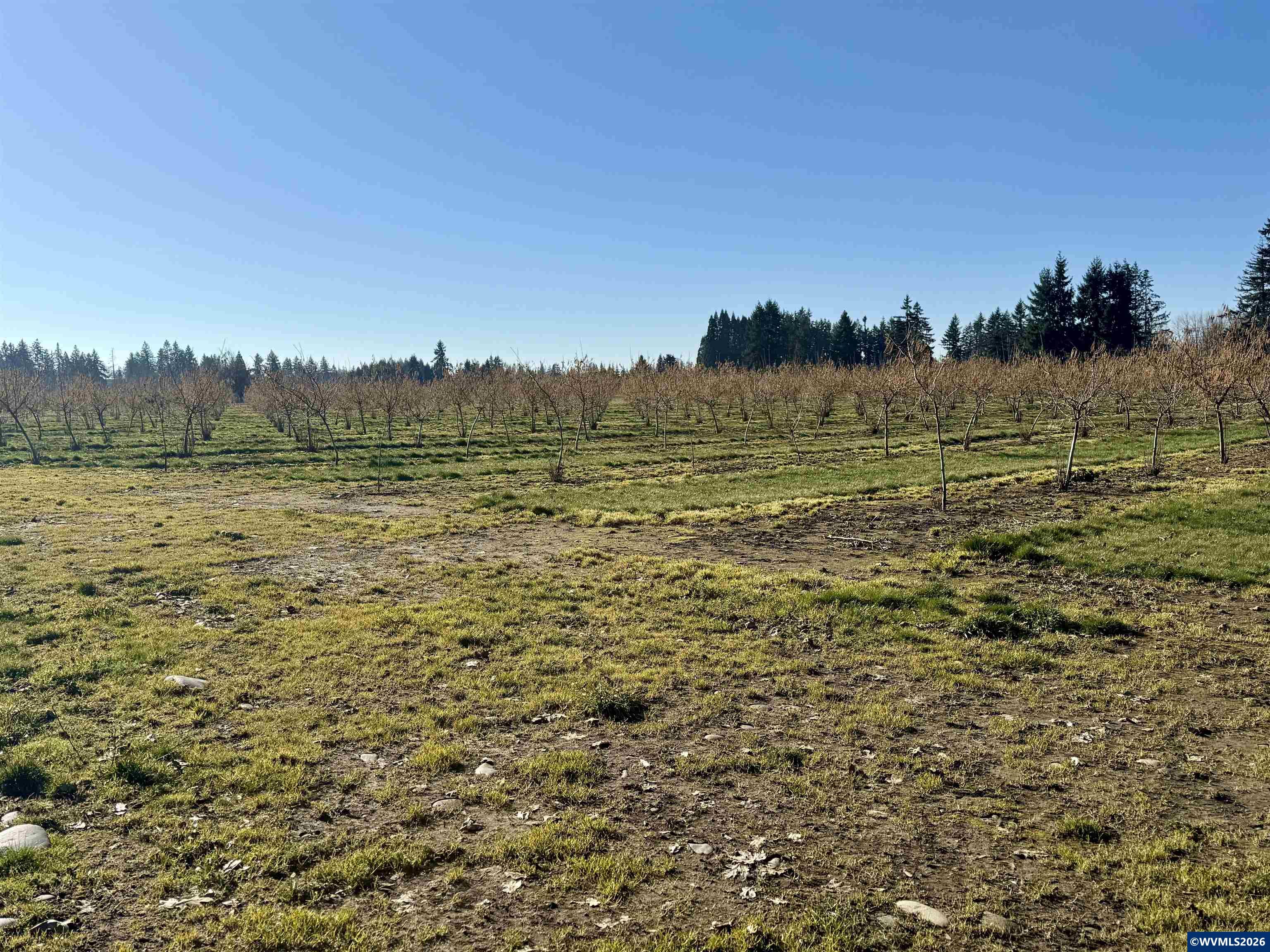 41792 SE Kingston Jordan Rd, Stayton, OR, 97383