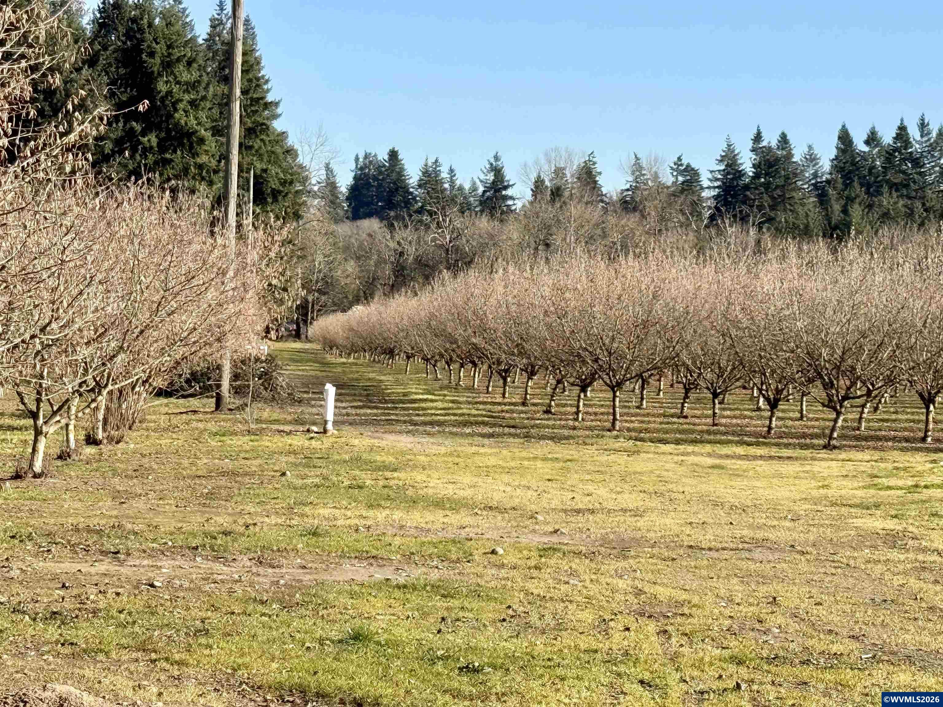 41792 SE Kingston Jordan Rd, Stayton, OR, 97383