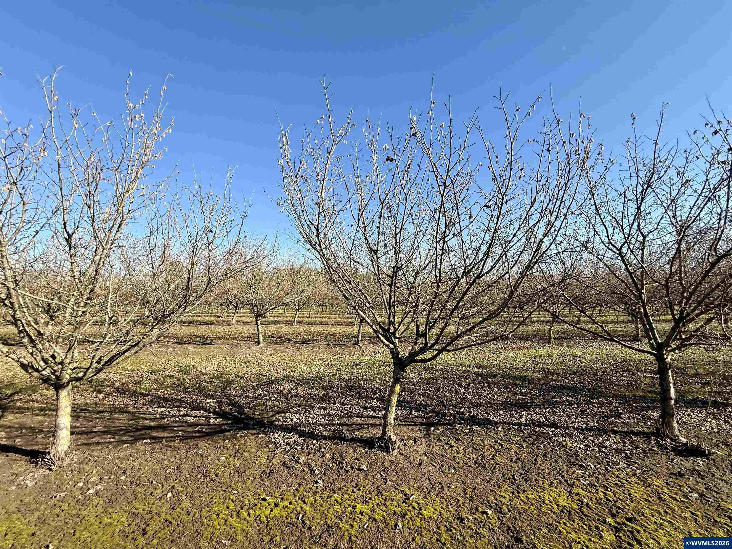 41792 SE Kingston Jordan Rd, Stayton, OR, 97383