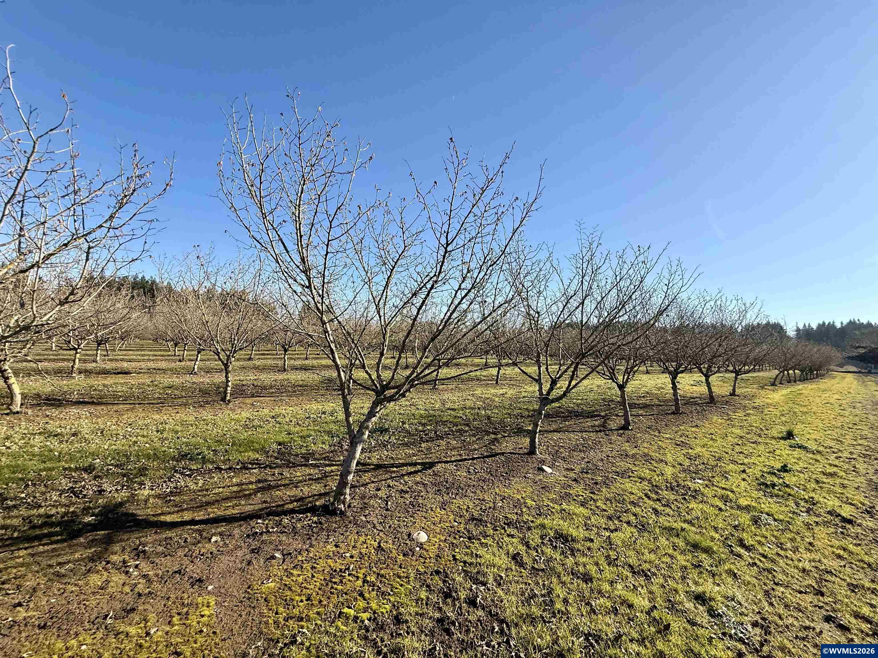 41792 SE Kingston Jordan Rd, Stayton, OR, 97383