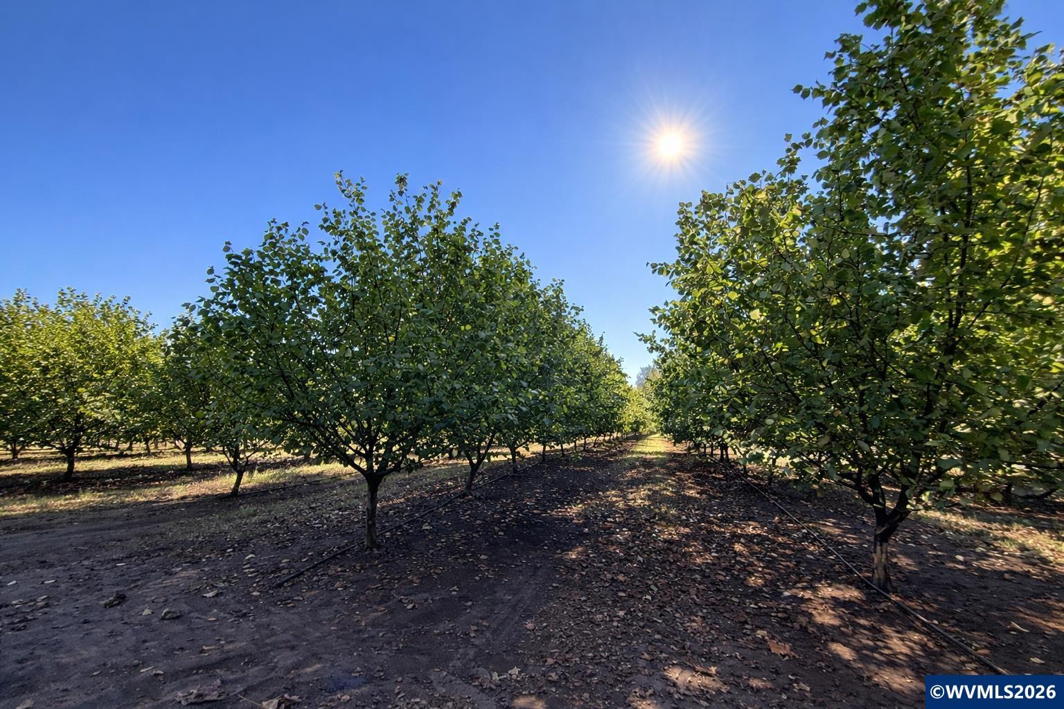 41792 SE Kingston Jordan Rd, Stayton, OR, 97383