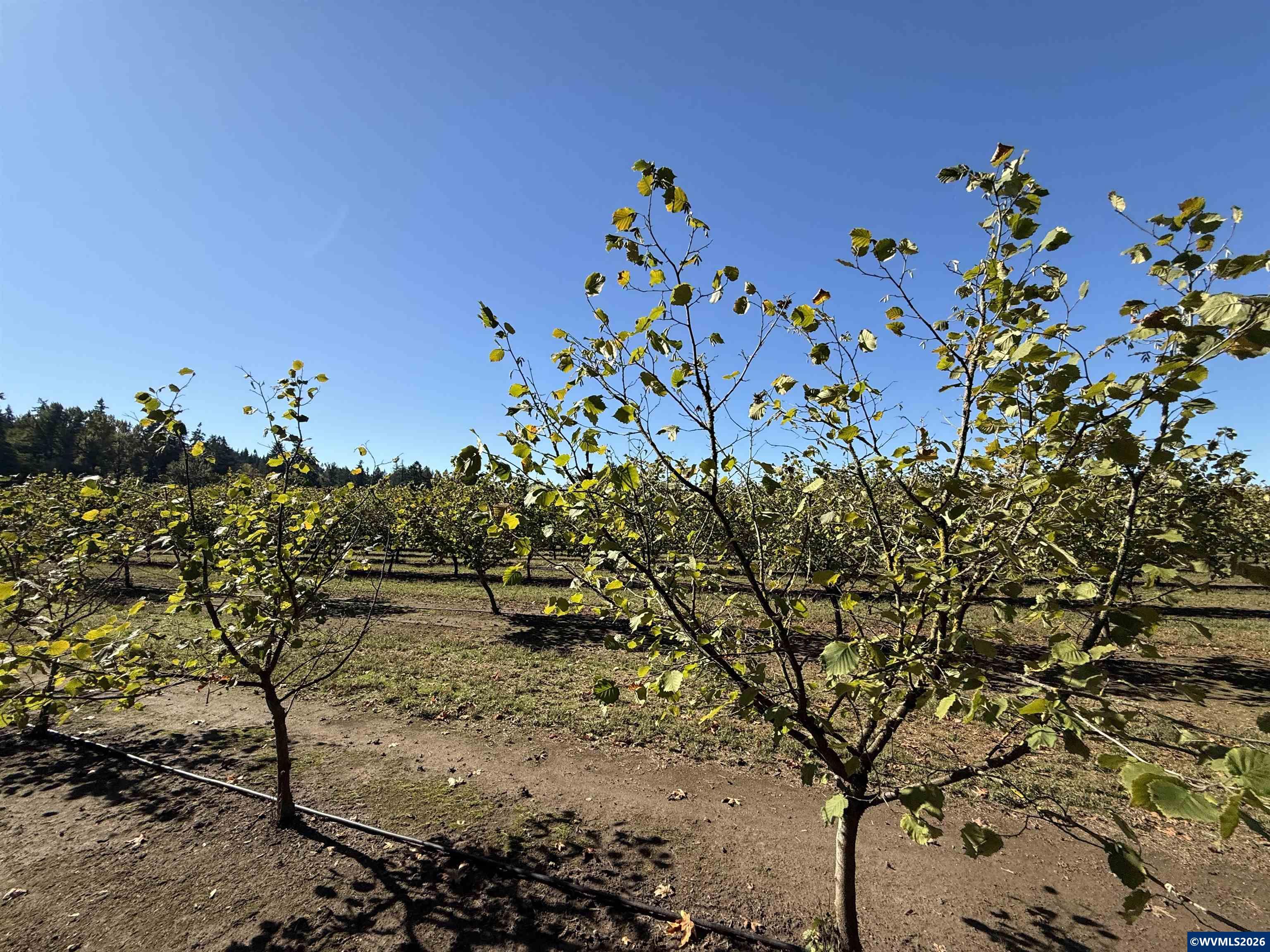 41792 SE Kingston Jordan Rd, Stayton, OR, 97383