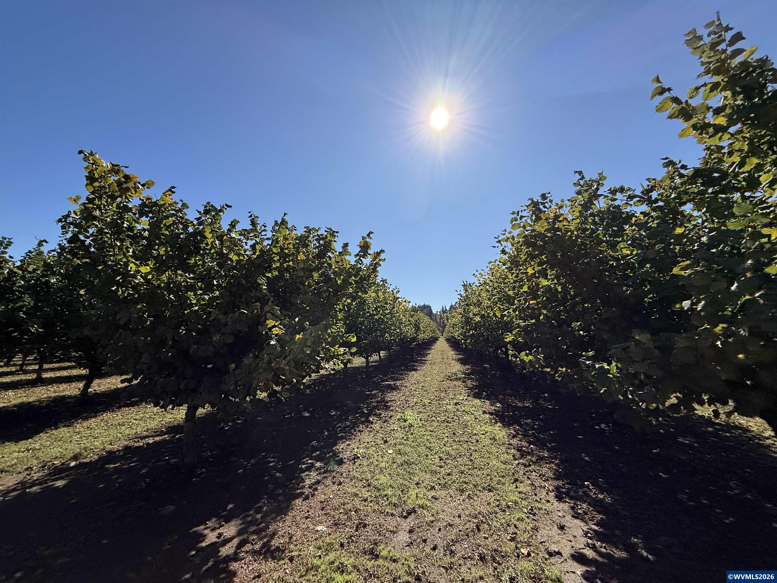 41792 SE Kingston Jordan Rd, Stayton, OR, 97383