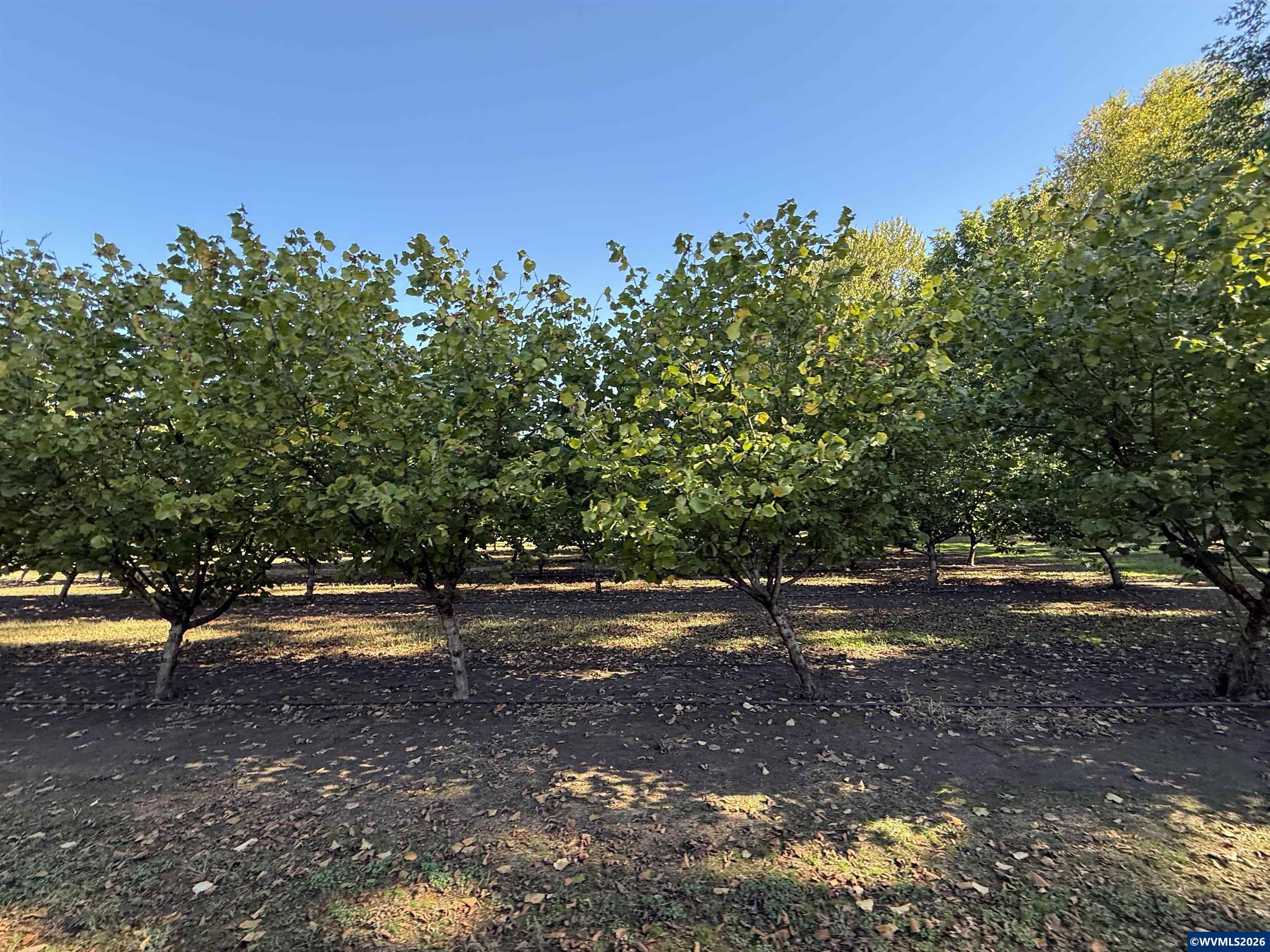 41792 SE Kingston Jordan Rd, Stayton, OR, 97383