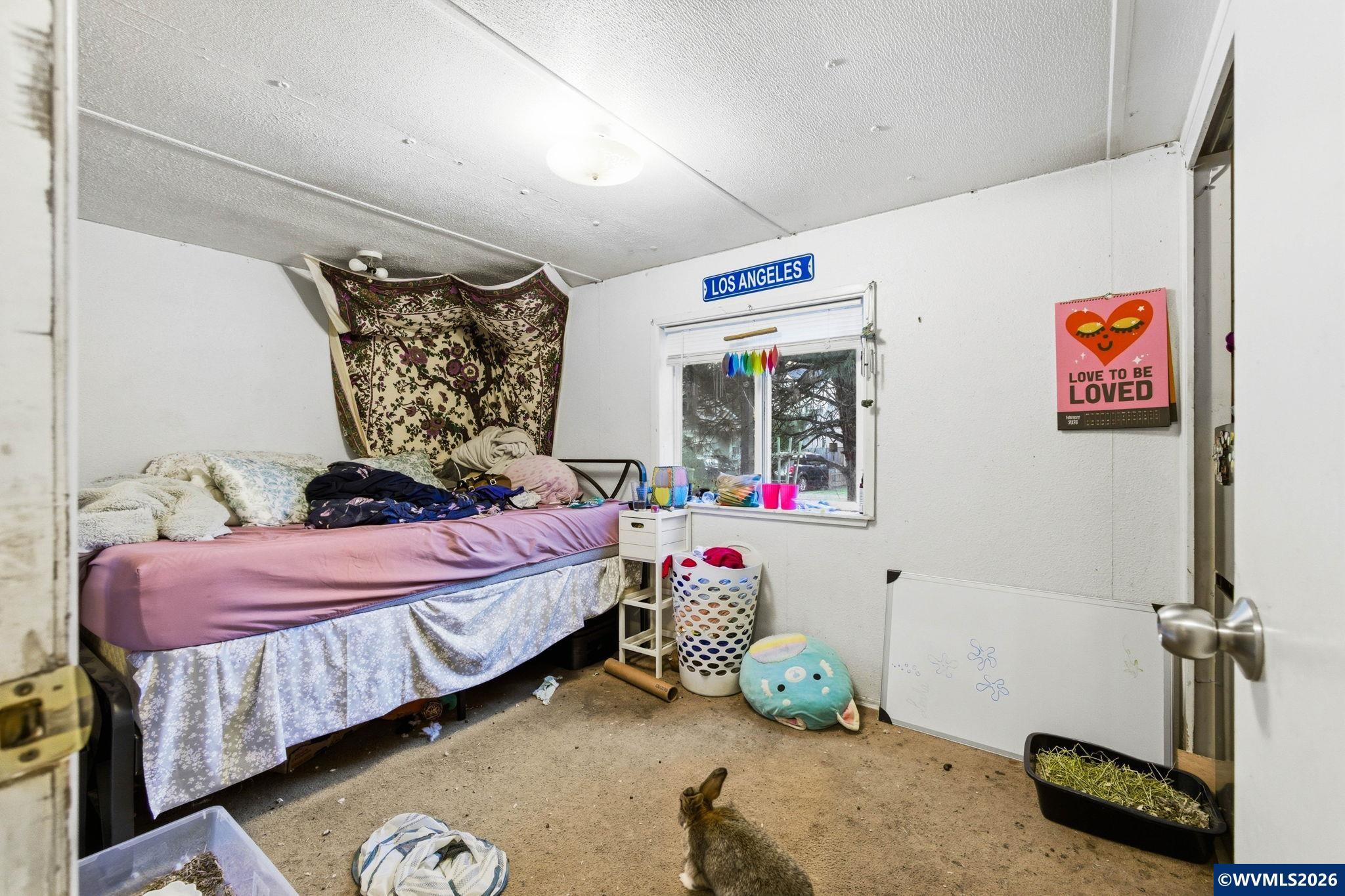 Image 19