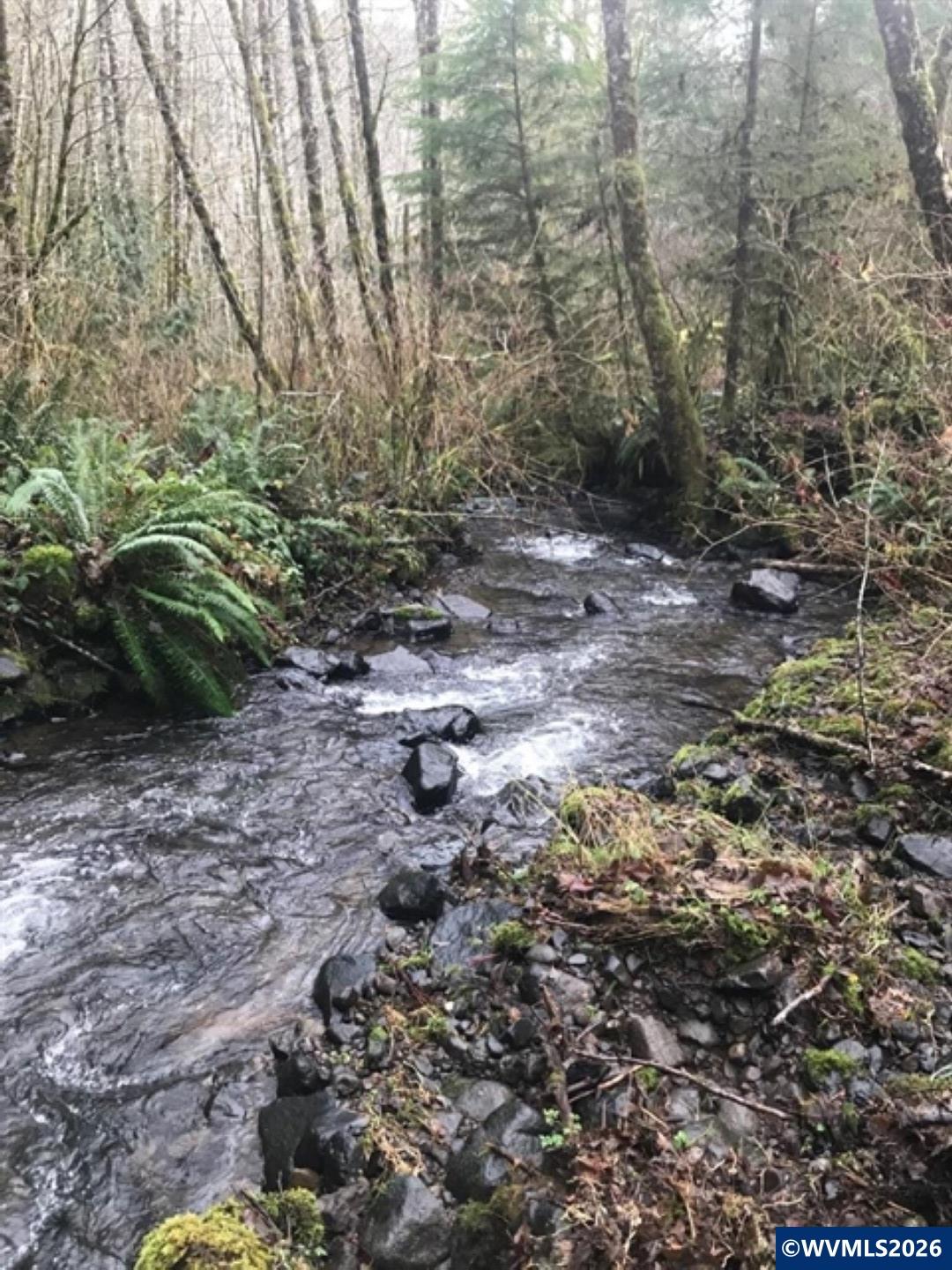 000 Alsea Hwy, Alsea, OR, 97324