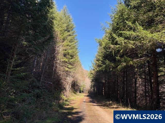 000 Alsea Hwy, Alsea, OR, 97324