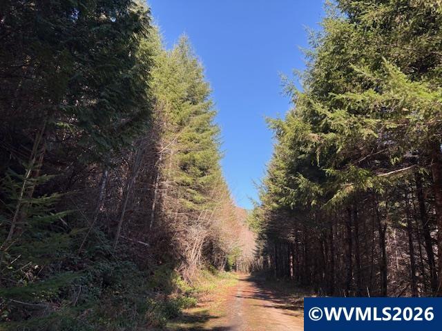 000 Alsea Hwy, Alsea, OR, 97324