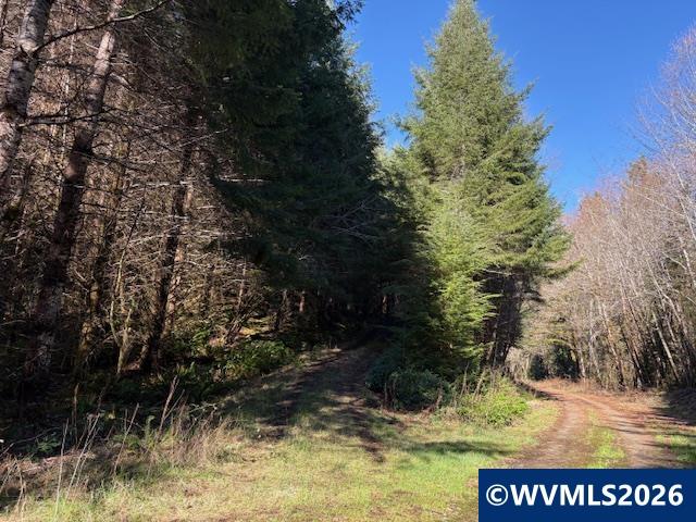 000 Alsea Hwy, Alsea, OR, 97324