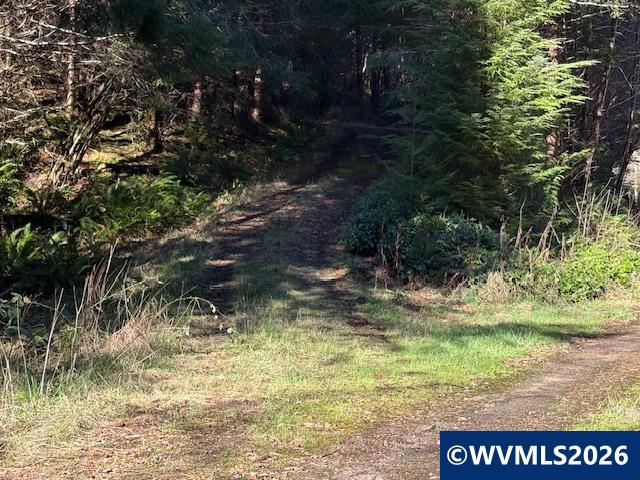 000 Alsea Hwy, Alsea, OR, 97324