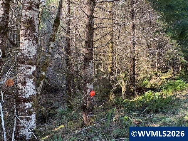 000 Alsea Hwy, Alsea, OR, 97324