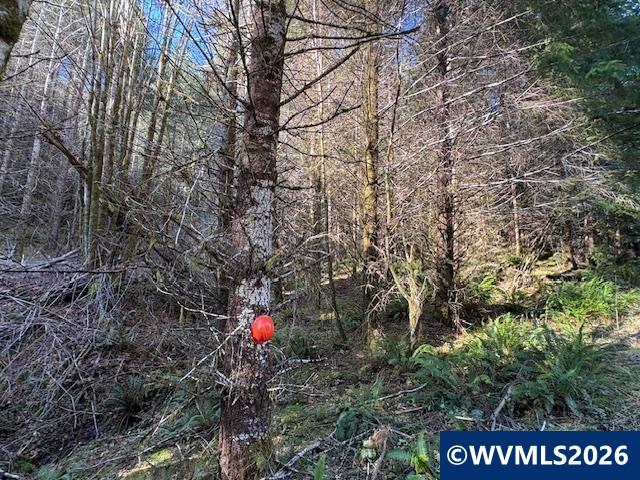 000 Alsea Hwy, Alsea, OR, 97324