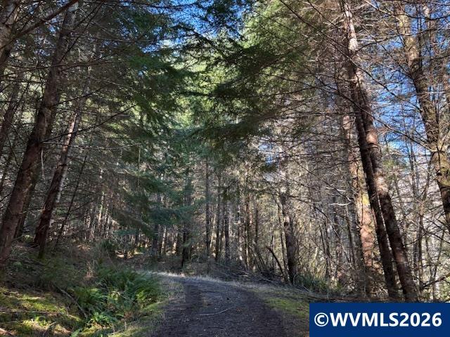 000 Alsea Hwy, Alsea, OR, 97324