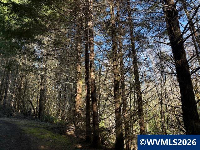 000 Alsea Hwy, Alsea, OR, 97324
