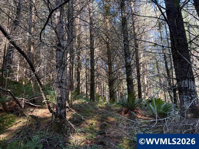 000 Alsea Hwy, Alsea, OR, 97324