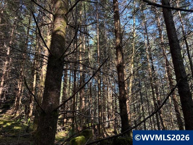 000 Alsea Hwy, Alsea, OR, 97324
