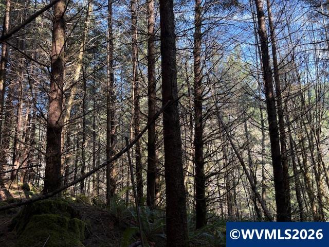000 Alsea Hwy, Alsea, OR, 97324