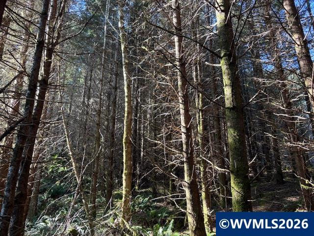000 Alsea Hwy, Alsea, OR, 97324