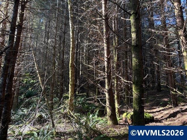 000 Alsea Hwy, Alsea, OR, 97324