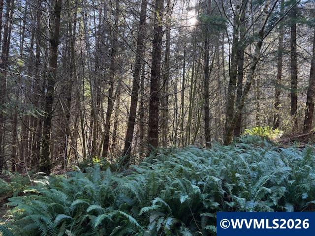 000 Alsea Hwy, Alsea, OR, 97324