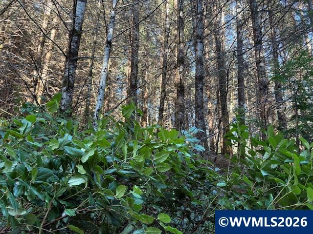 000 Alsea Hwy, Alsea, OR, 97324