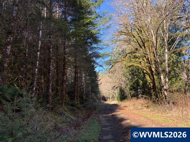 000 Alsea Hwy, Alsea, OR, 97324