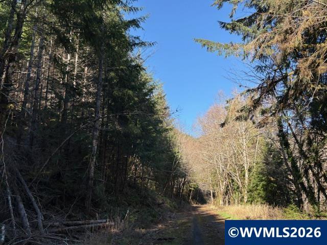 000 Alsea Hwy, Alsea, OR, 97324
