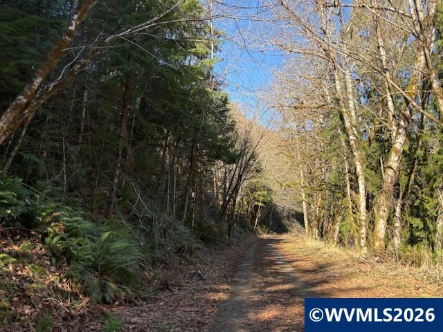 000 Alsea Hwy, Alsea, OR, 97324