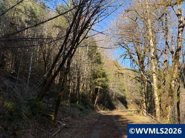 000 Alsea Hwy, Alsea, OR, 97324
