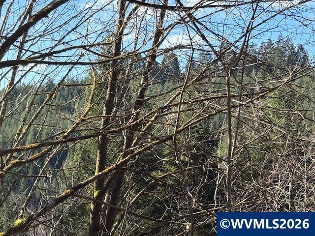 000 Alsea Hwy, Alsea, OR, 97324