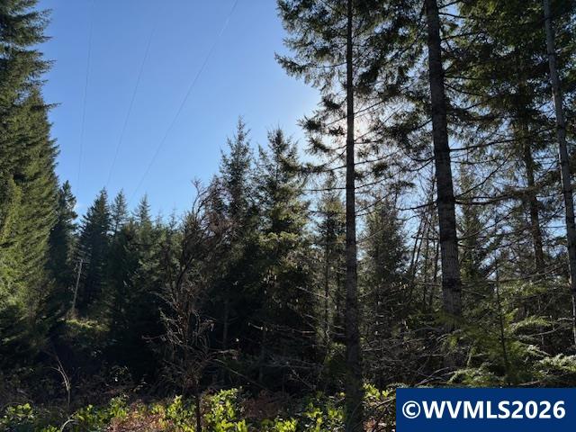 000 Alsea Hwy, Alsea, OR, 97324