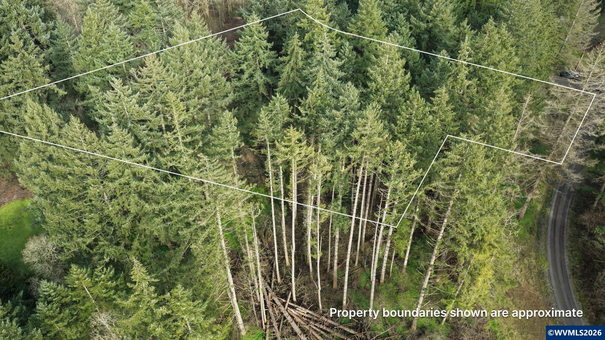 0 NE Shady Oak Rd, Albany, OR, 97322