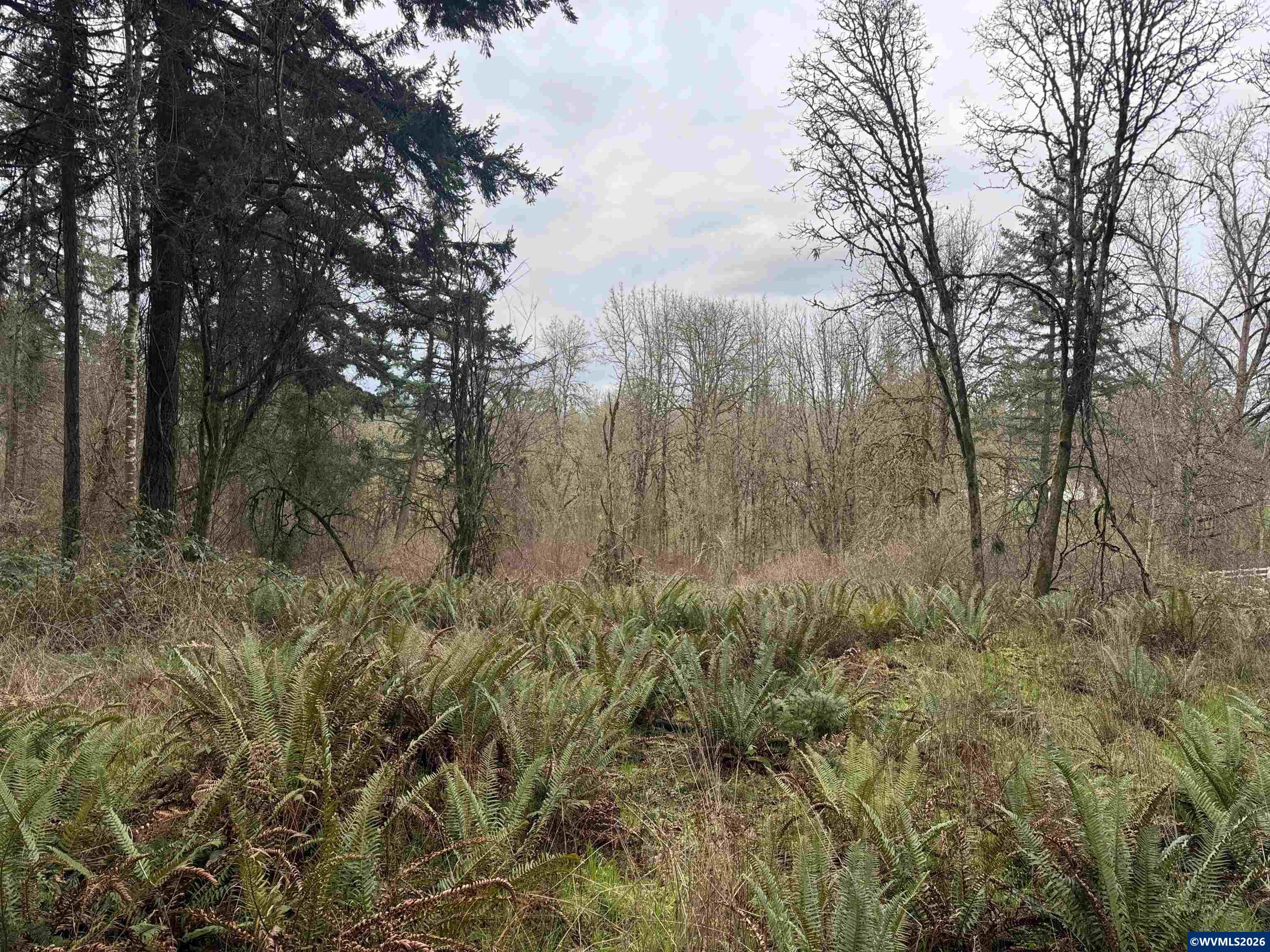 0 NE Shady Oak Rd, Albany, OR, 97322