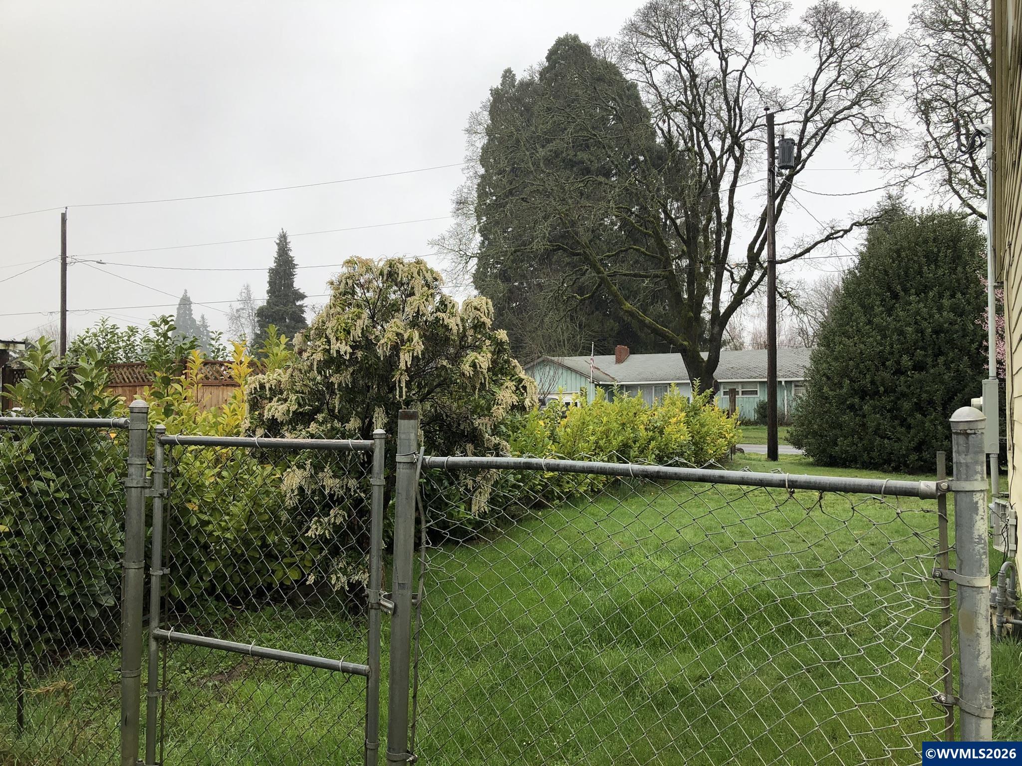 Image 13