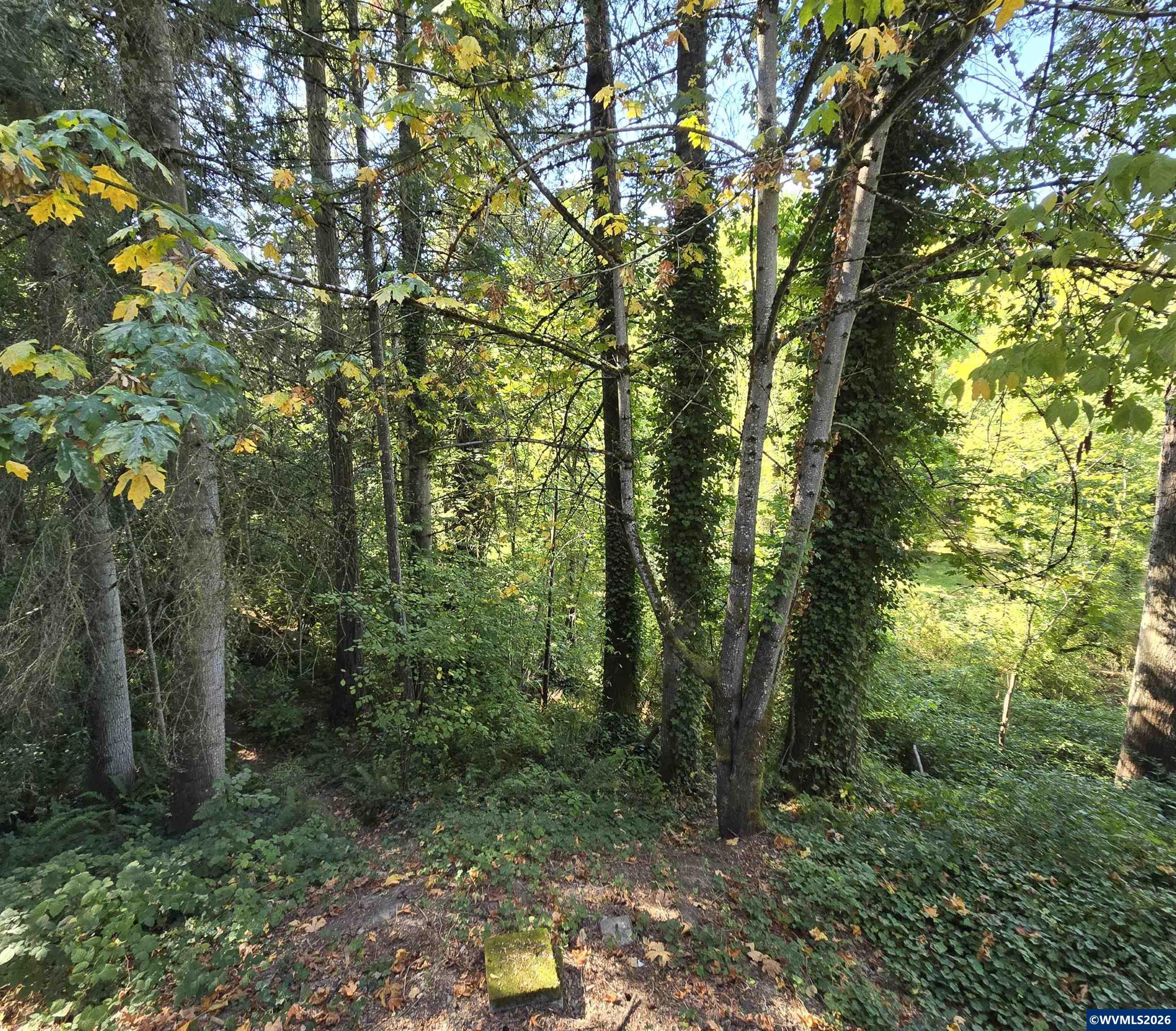 Image 44
