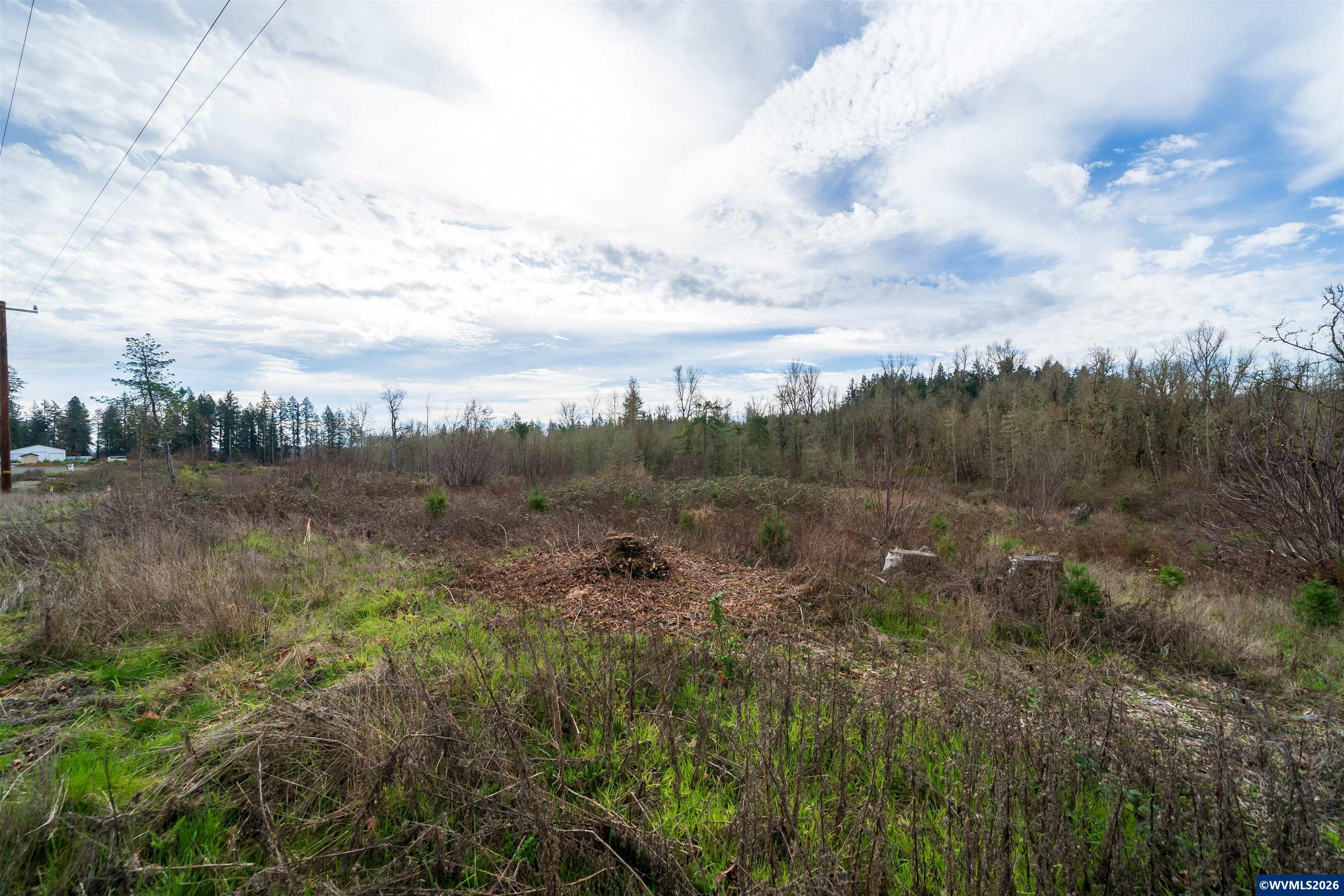 TL UNIT&nbsp;0707469 Shilling (LOT 2) Dr, Scio, OR, 97374