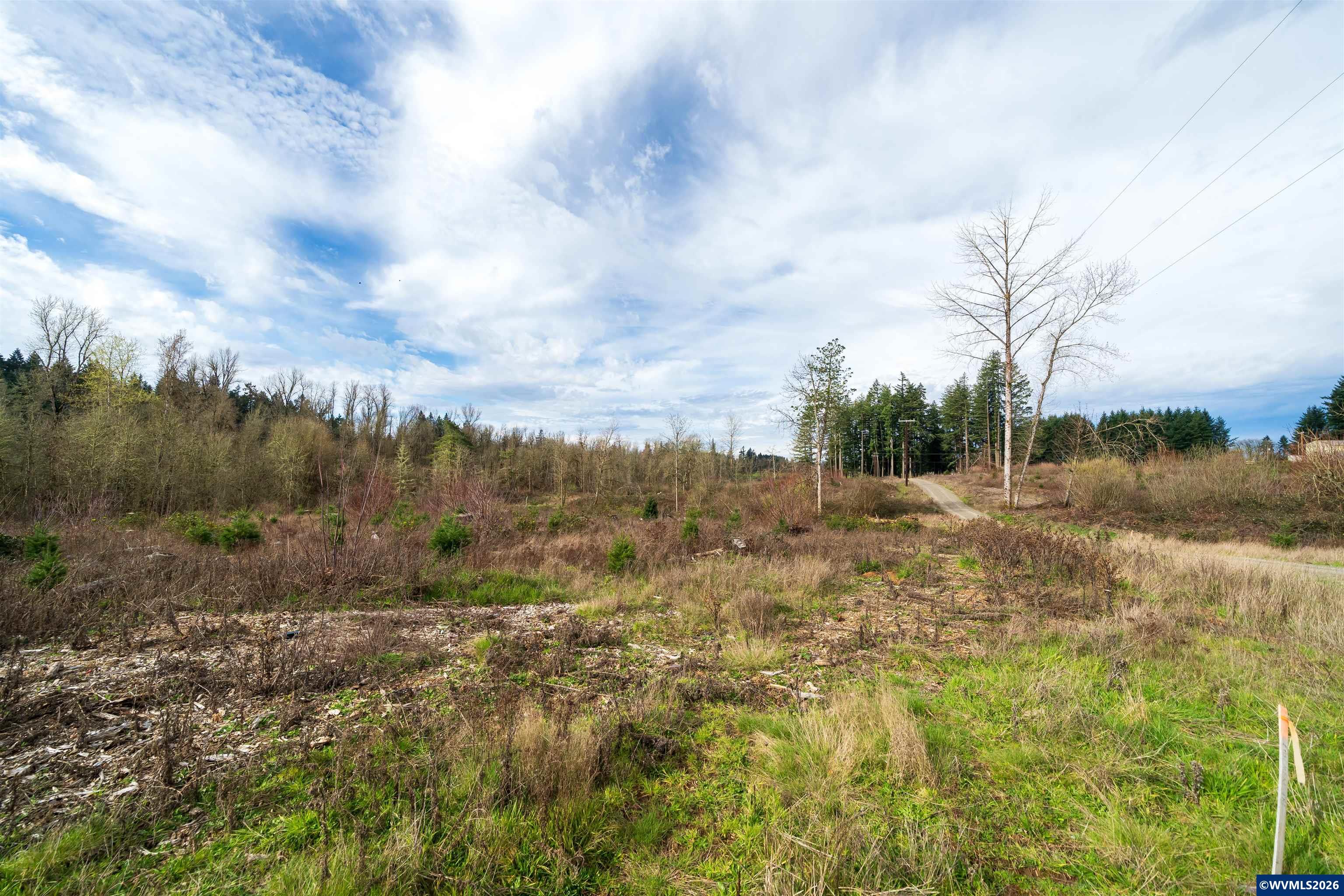 TL UNIT&nbsp;0707469 Shilling (LOT 2) Dr, Scio, OR, 97374