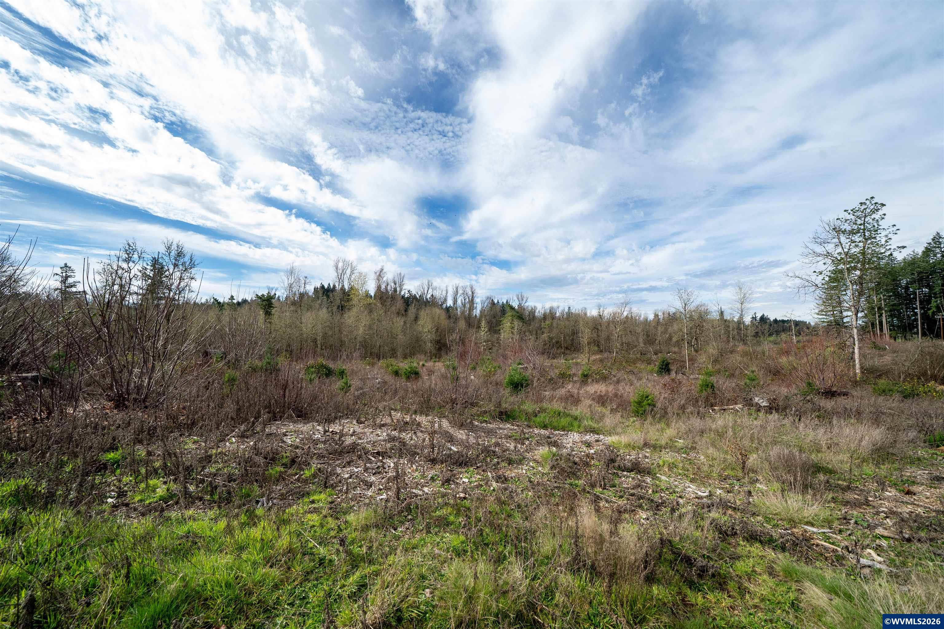 TL UNIT&nbsp;0707469 Shilling (LOT 2) Dr, Scio, OR, 97374