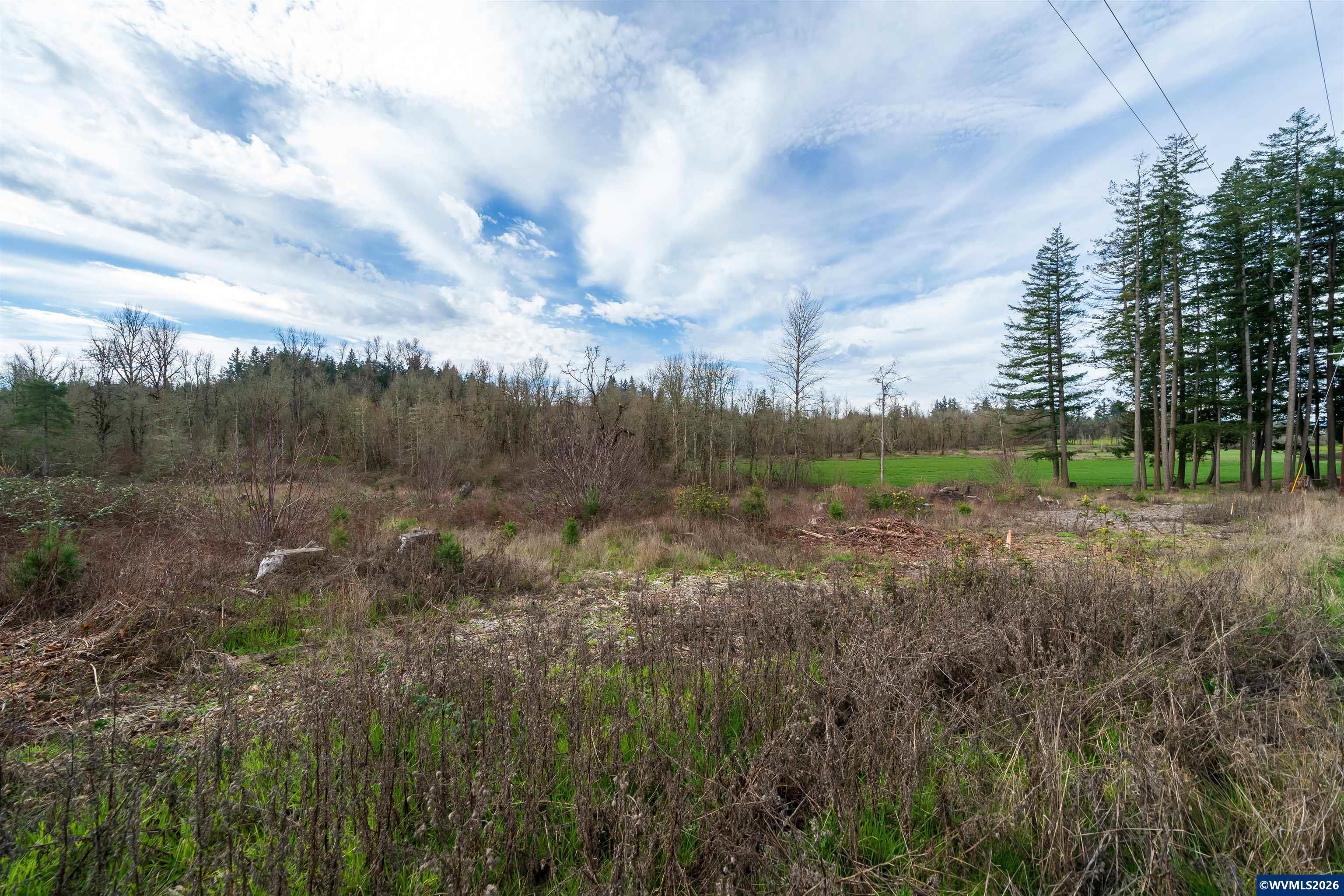 TL UNIT&nbsp;0707469 Shilling (LOT 2) Dr, Scio, OR, 97374