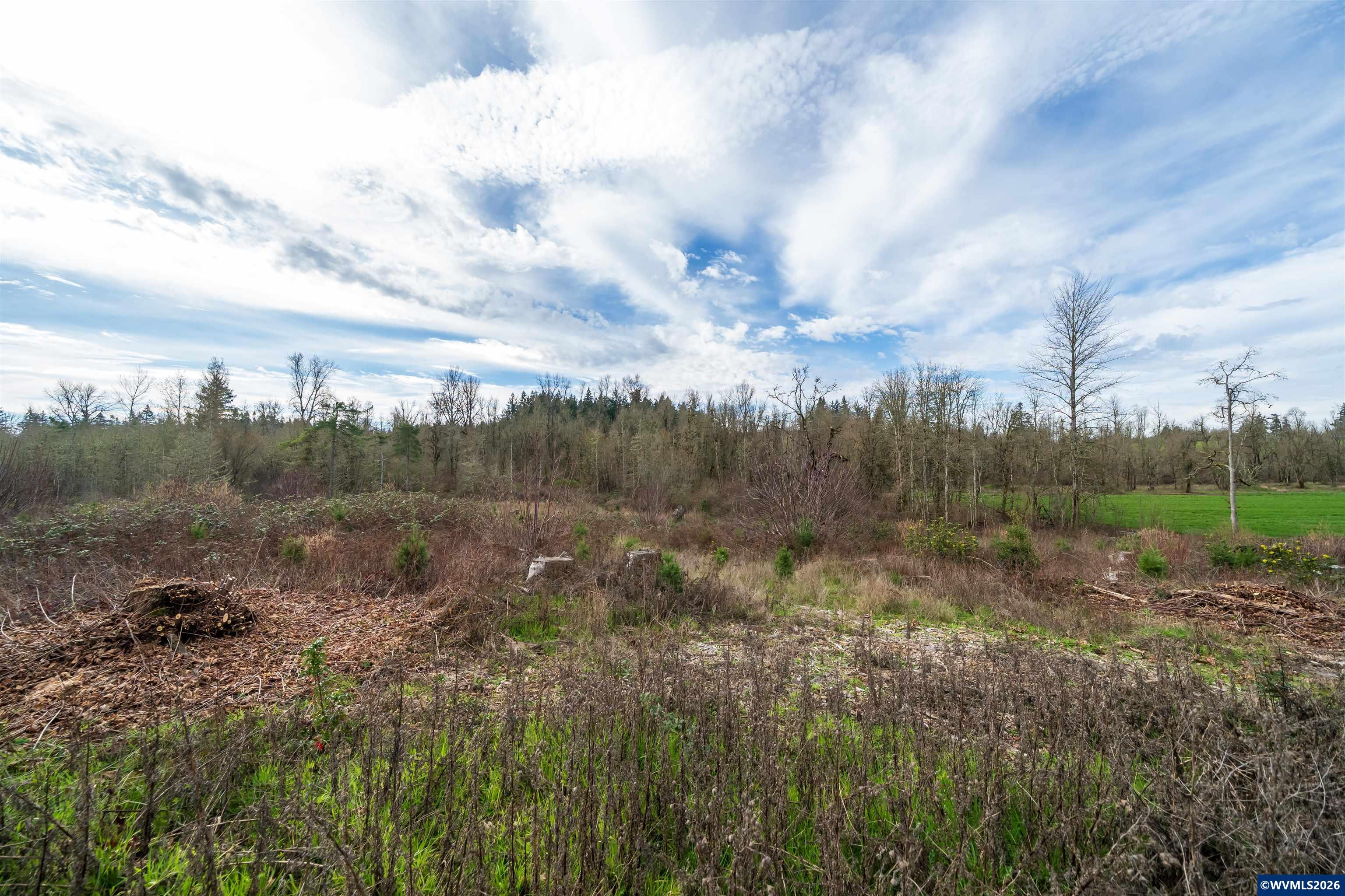 TL UNIT&nbsp;0707469 Shilling (LOT 2) Dr, Scio, OR, 97374