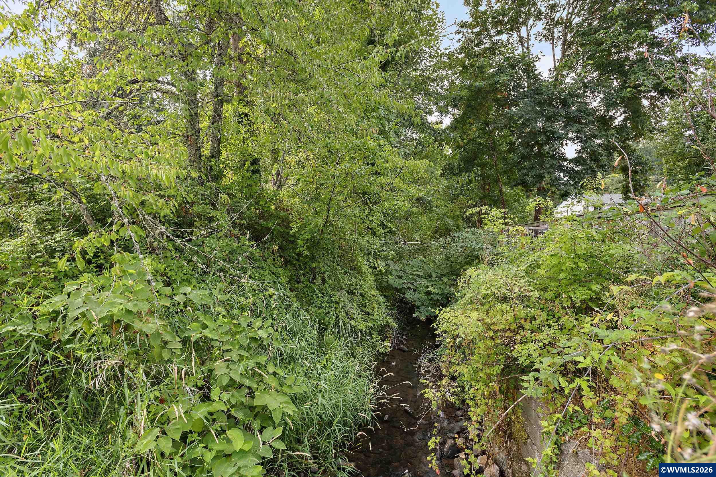 Image 44