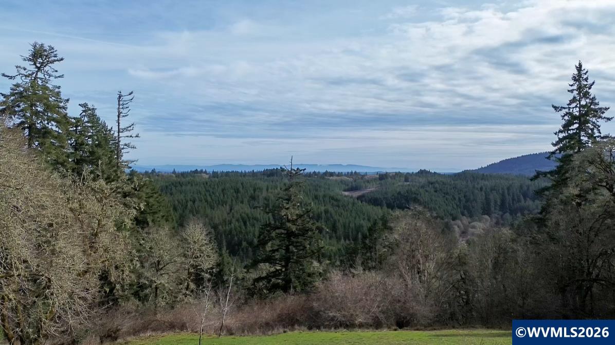 33941 Marys River Estates Rd, Philomath, OR, 97370