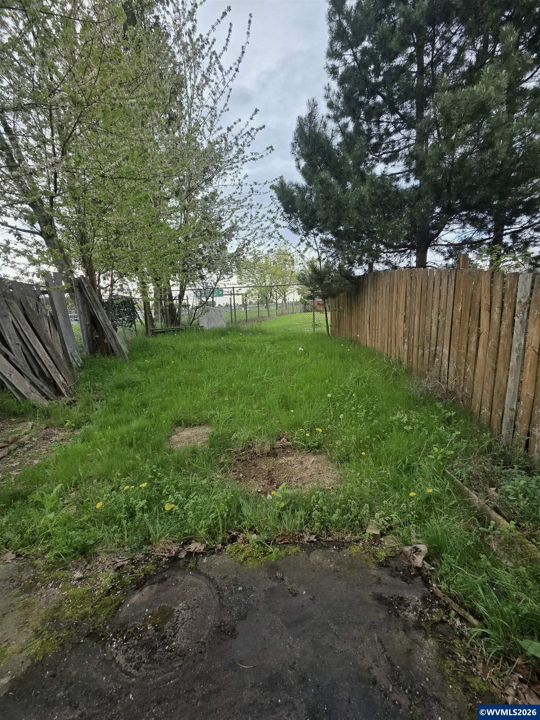 Image 23