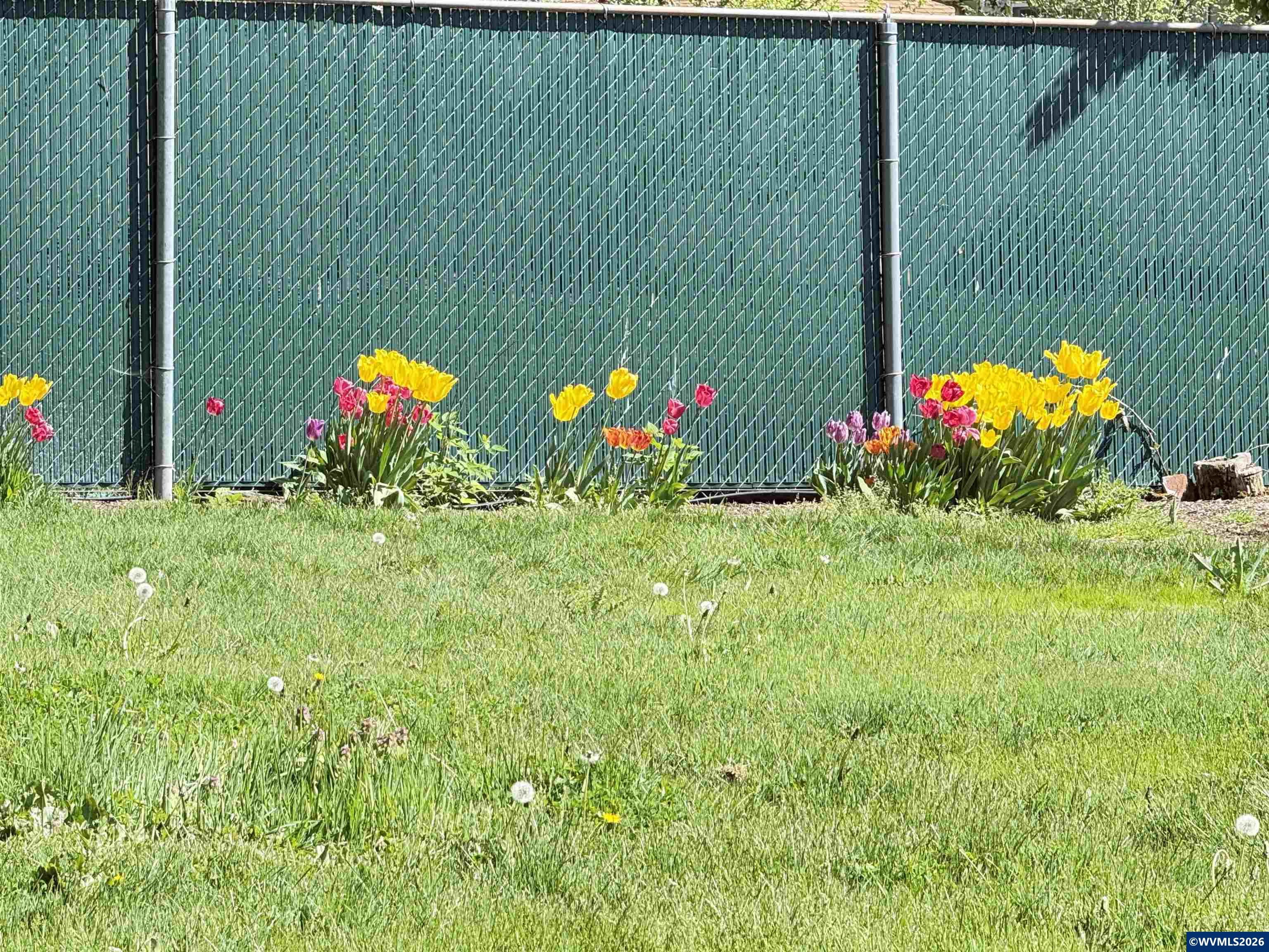 Image 31