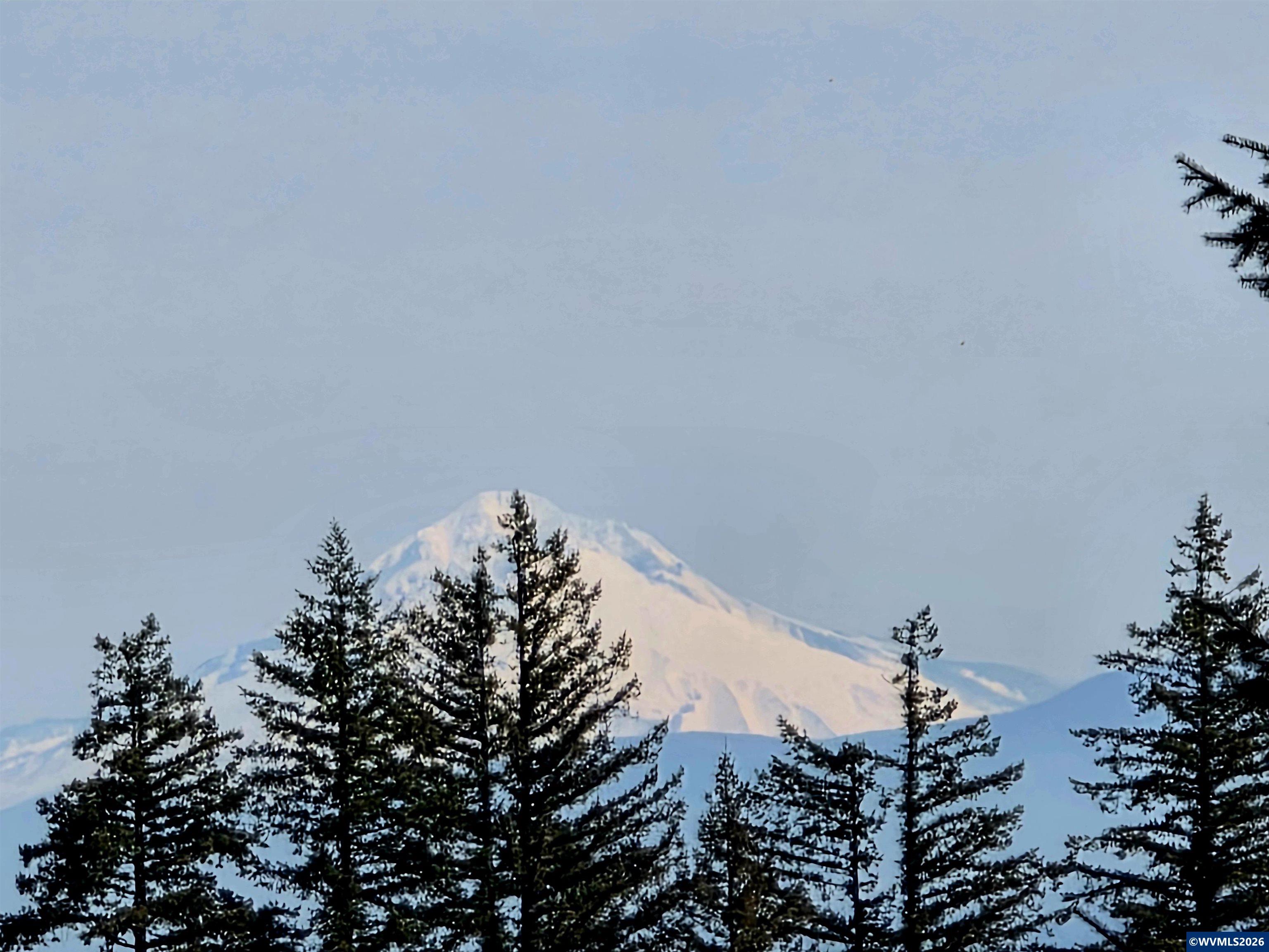 Image 38